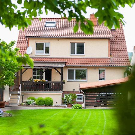 Ferienhaus Og1 "Westerwald Blick" Martinfeld Exteriér fotografie