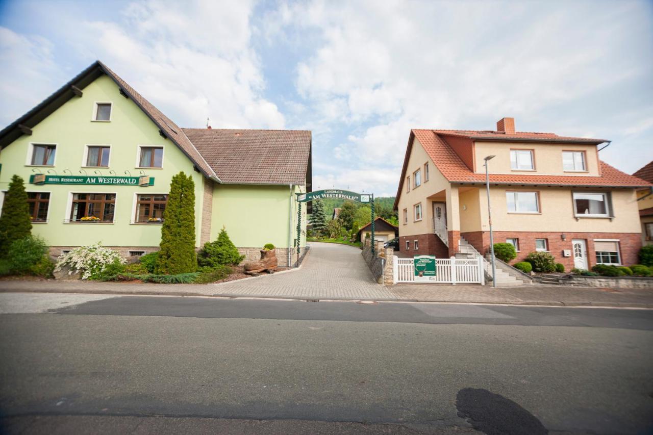 Ferienhaus Og1 "Westerwald Blick" Martinfeld Exteriér fotografie