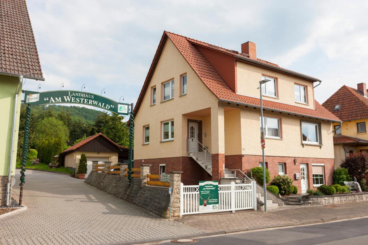 Ferienhaus Og1 "Westerwald Blick" Martinfeld Exteriér fotografie