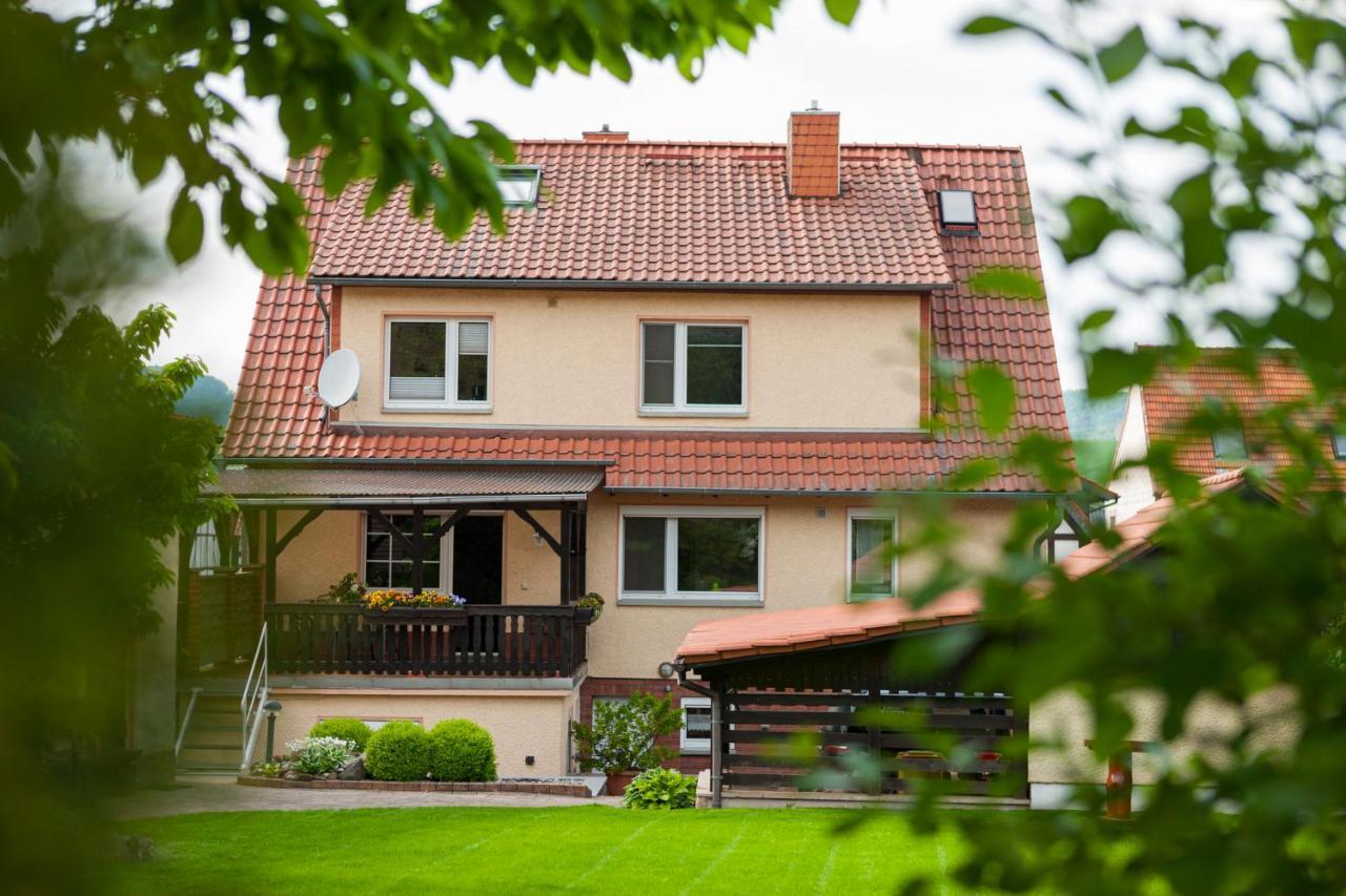 Ferienhaus Og1 "Westerwald Blick" Martinfeld Exteriér fotografie